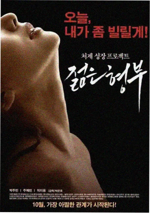 长夜列车剧集封面